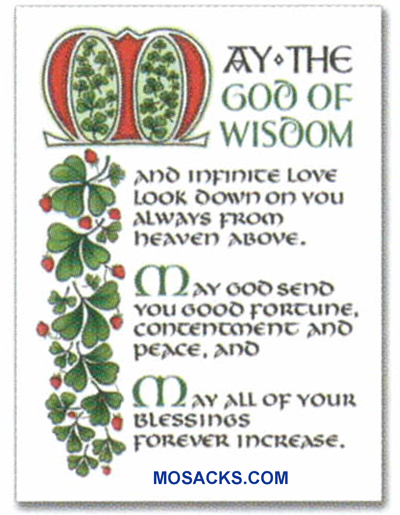 An Irish Blessing Note Card-WCA8153