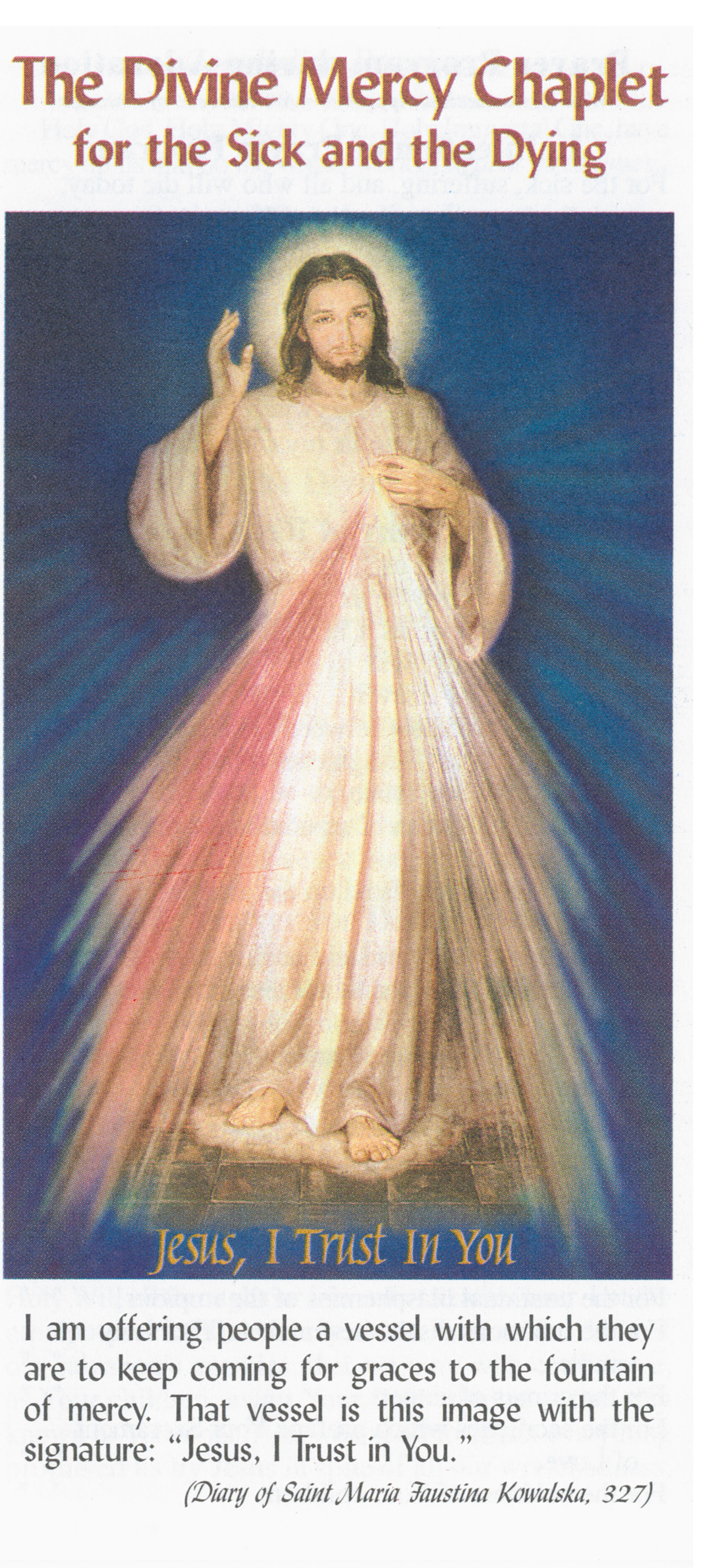 Divine Mercy Chaplet for the Sick and the Dying CSDEA 9781596140110