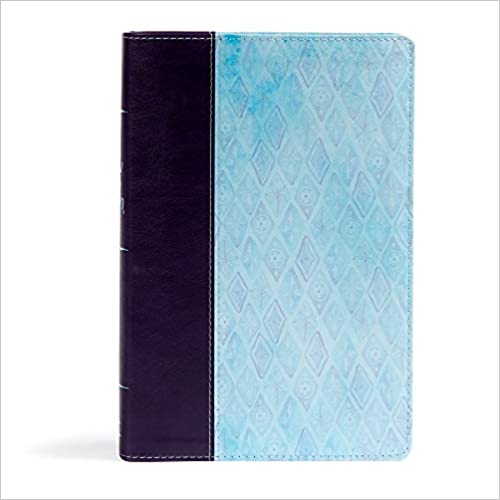 Holman NKJV Daily Devotional Bible for Women Purple/Blue Leathertouch 9781535935241