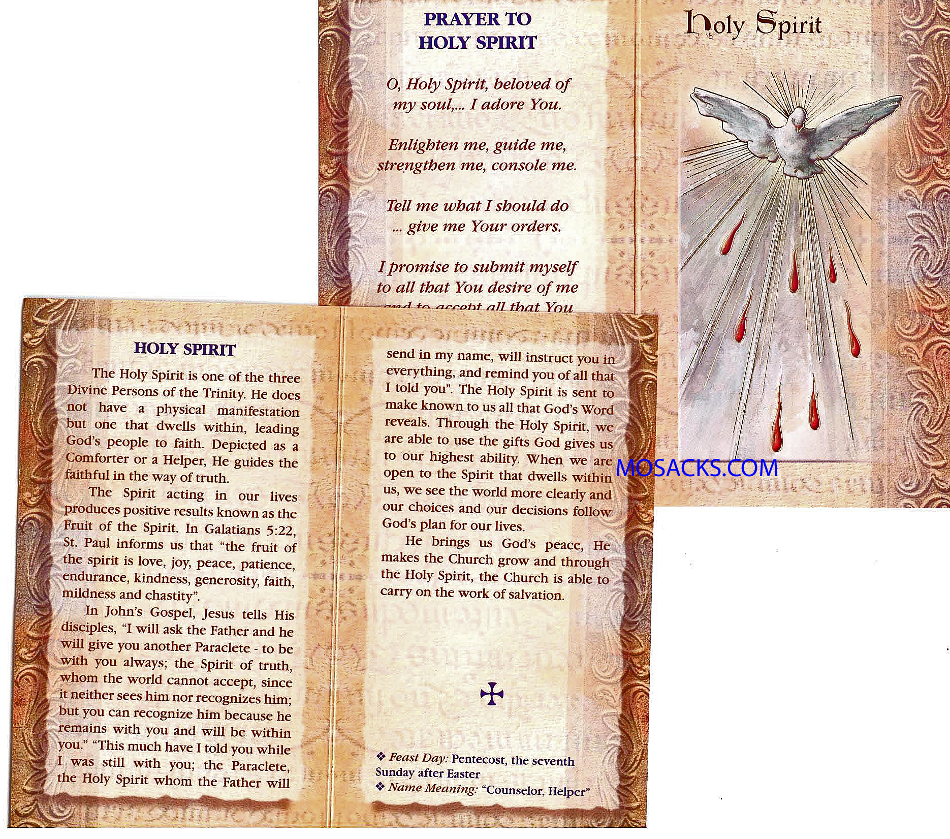 Holy Spirit Gold Stamped Laminated Folder F5-651
