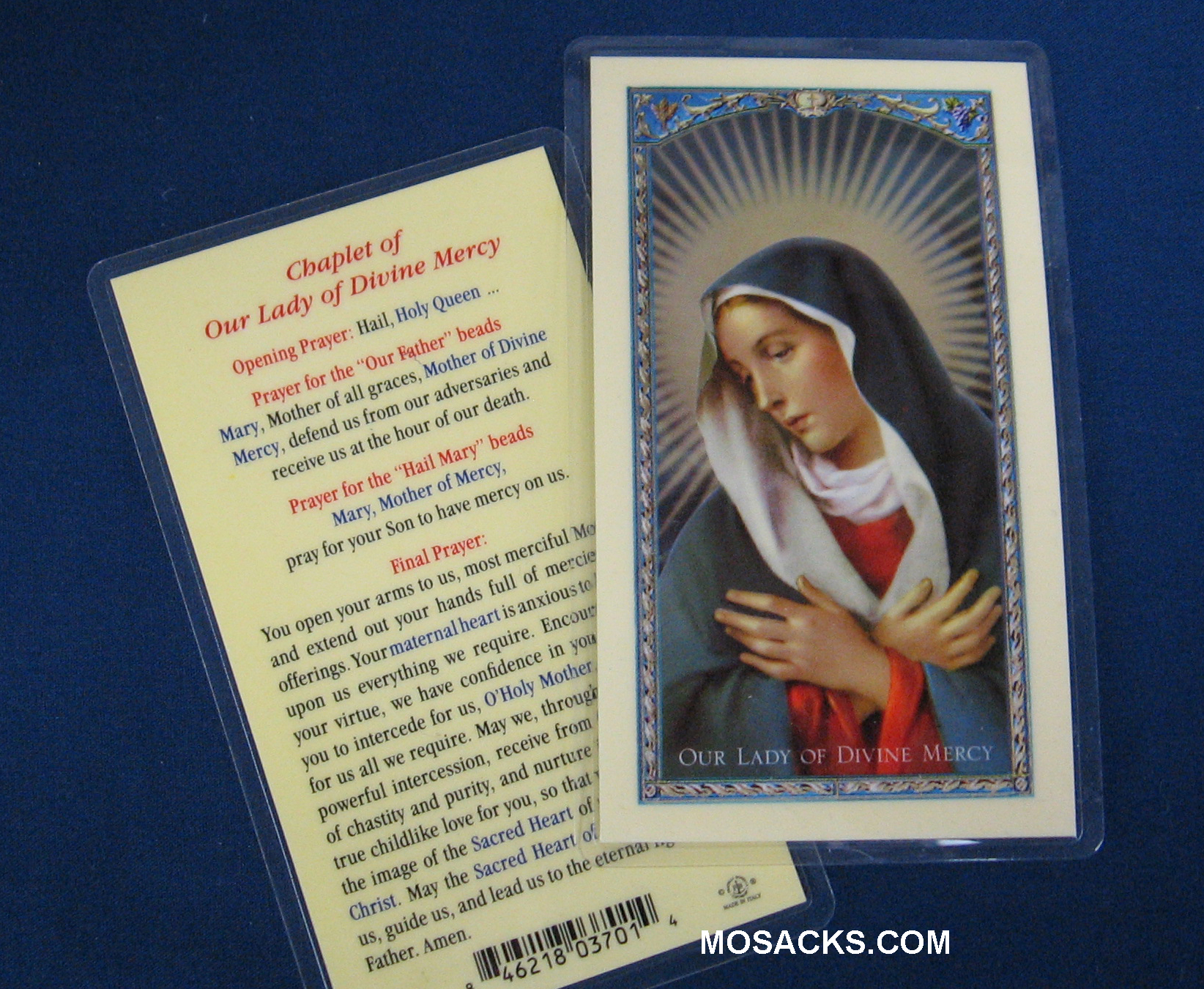 Our Lady Of Divine Mercy Laminated Prayer Card 12-E24-945