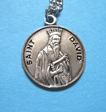 St. David Sterling Medal w/20" S Chain