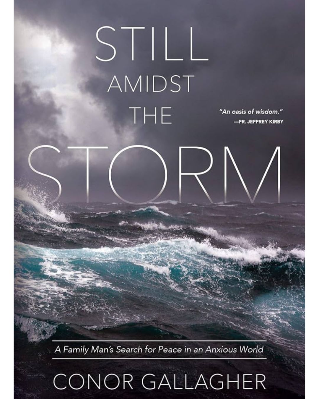 StillAmidsttheStorm9781505112665