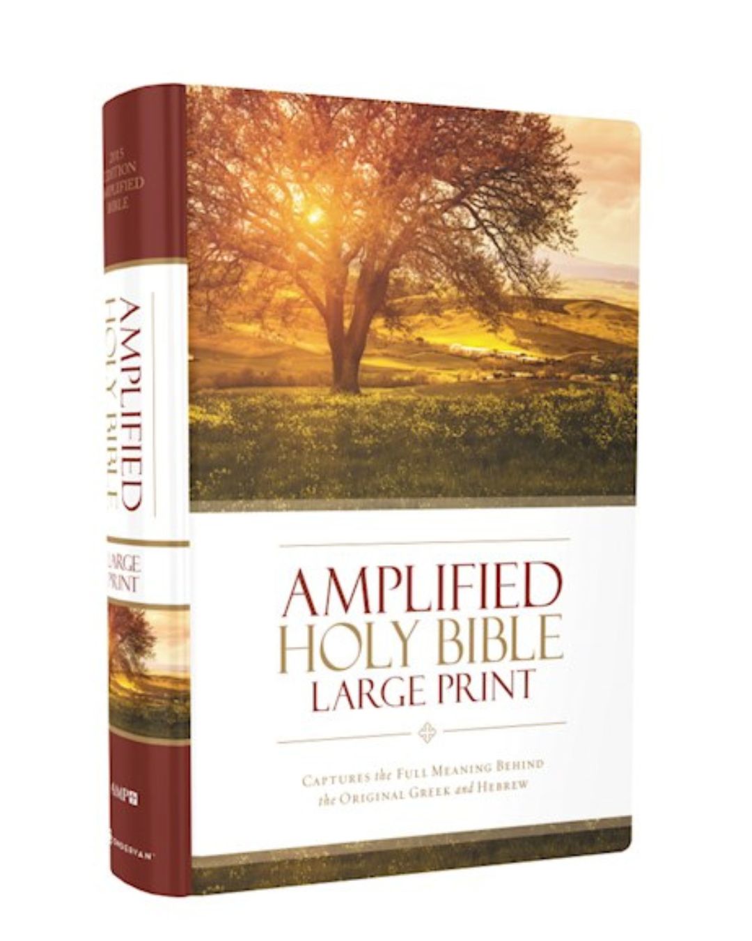 Amplified Large Print Bible Hardcover (from Zondervan)