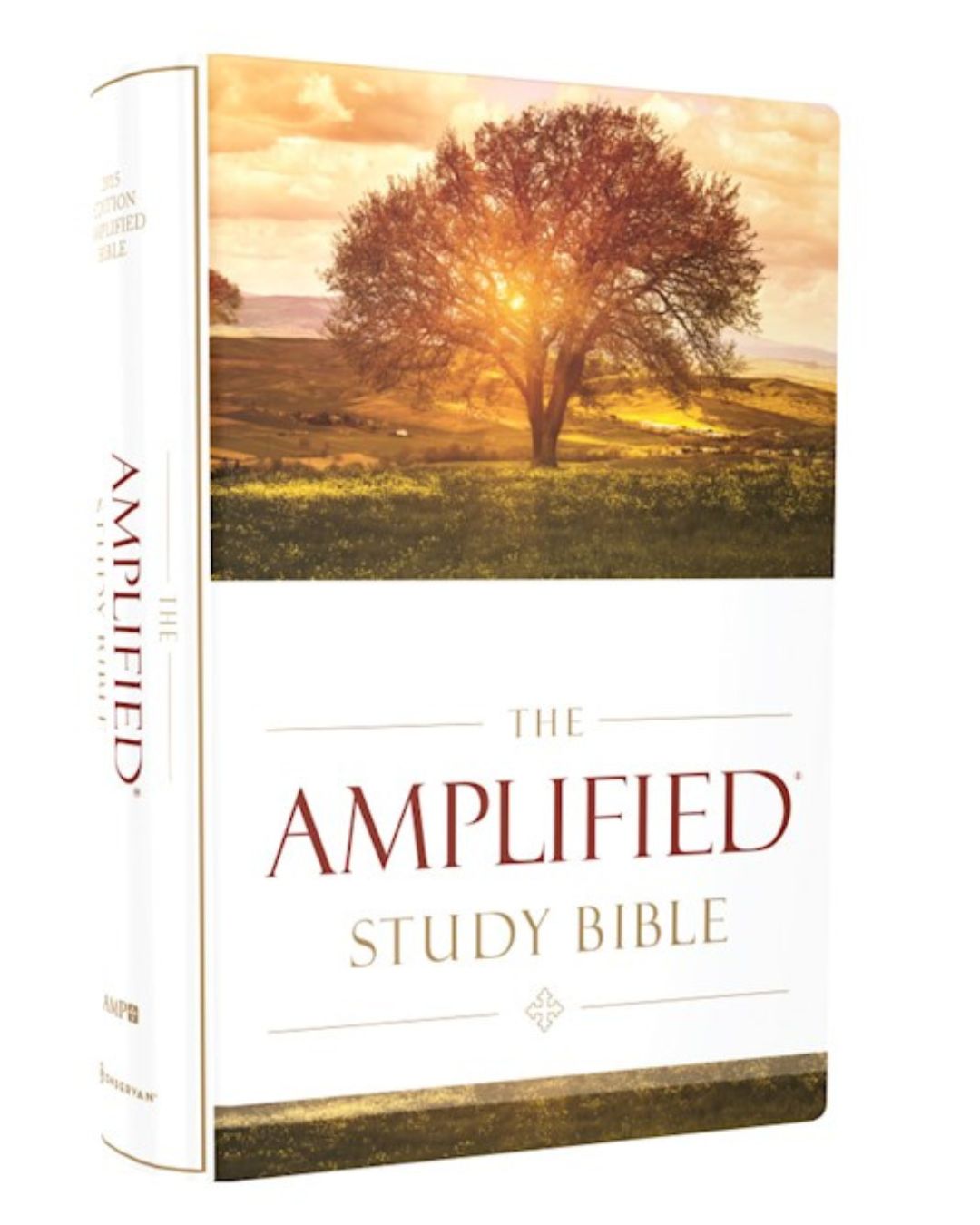 Amplified Study Bible Hardcover (from Zondervan)