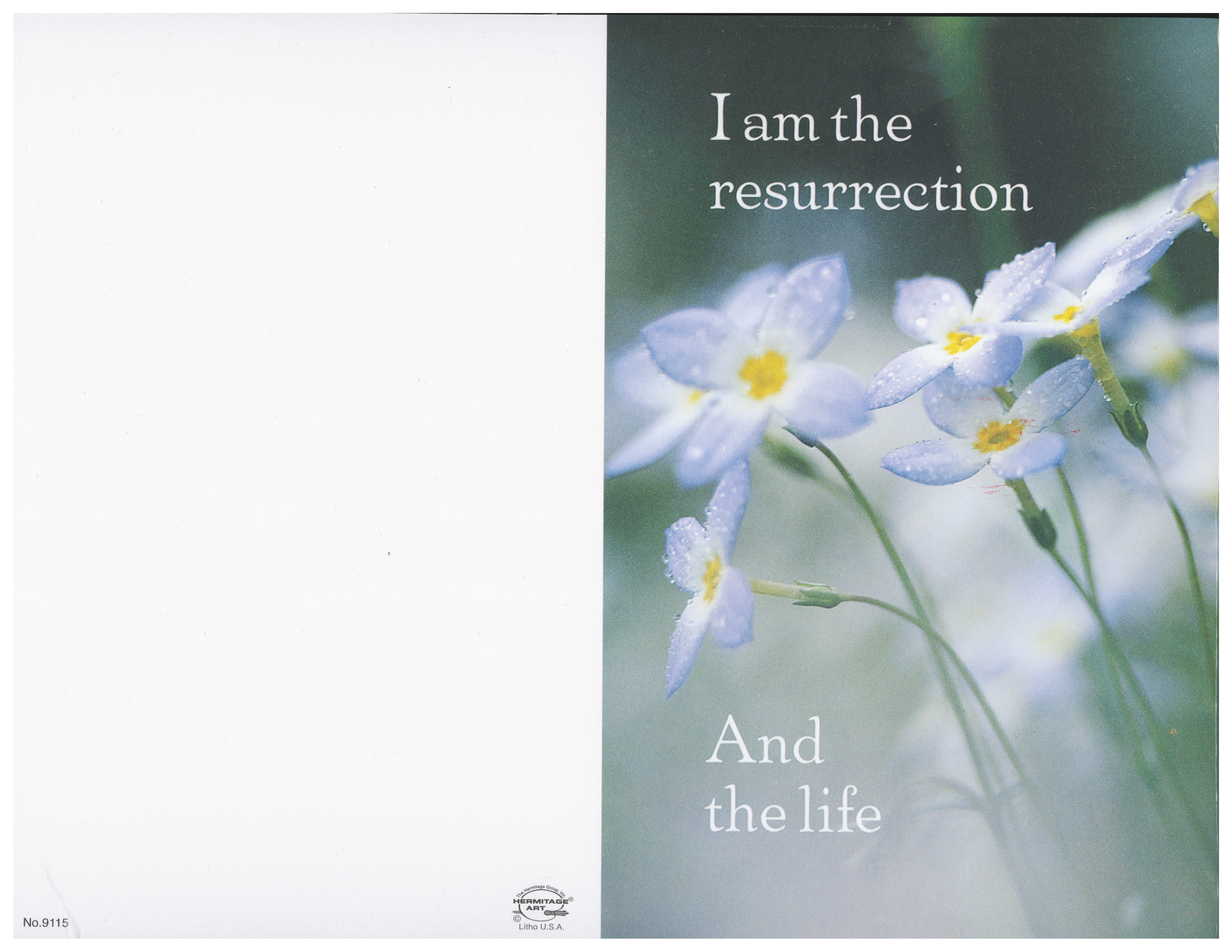 Bulletin Cover Daisies I Am The Resurrection and the Life -9115