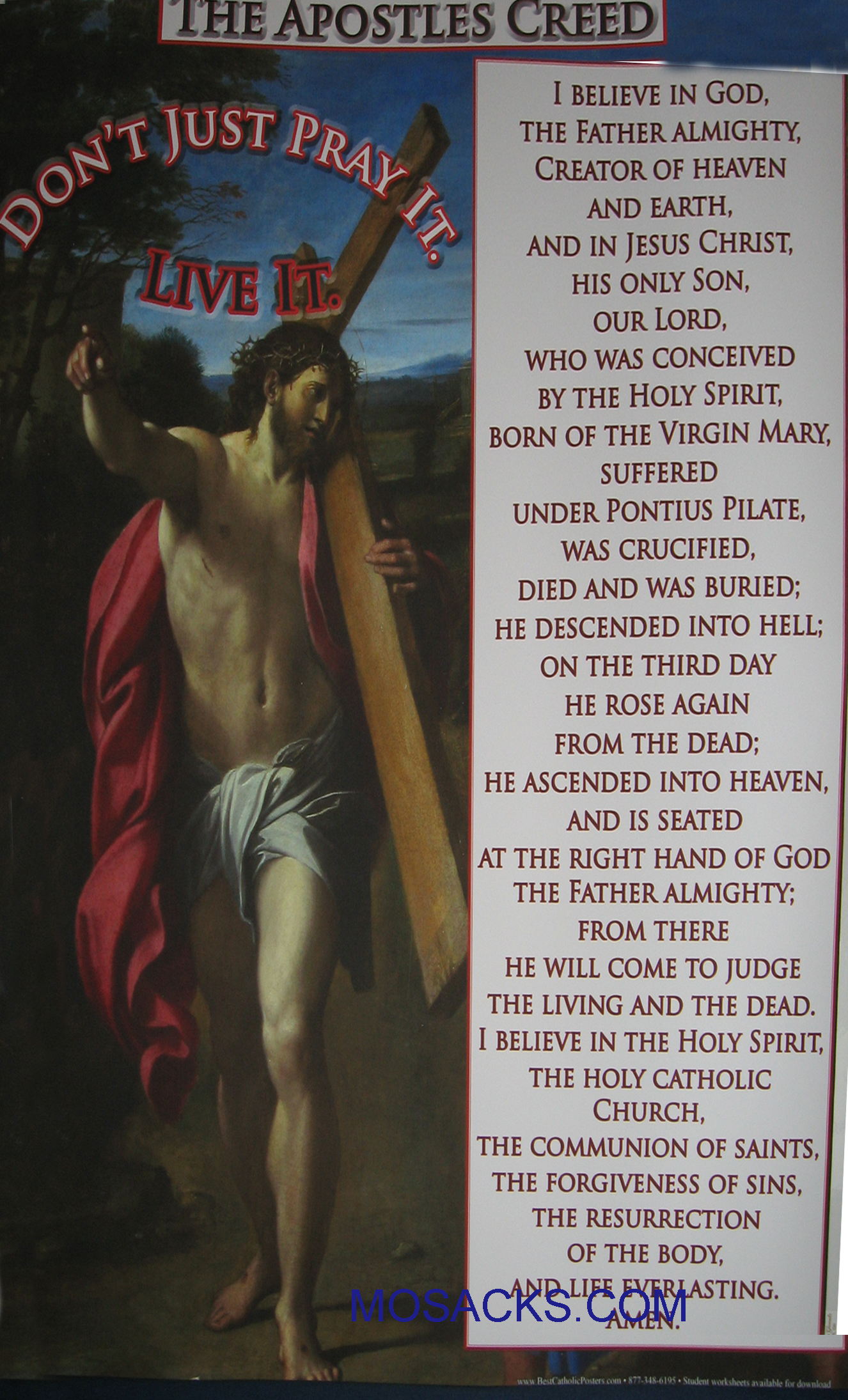 The Apostles Creed 19" x 27" Christian Poster