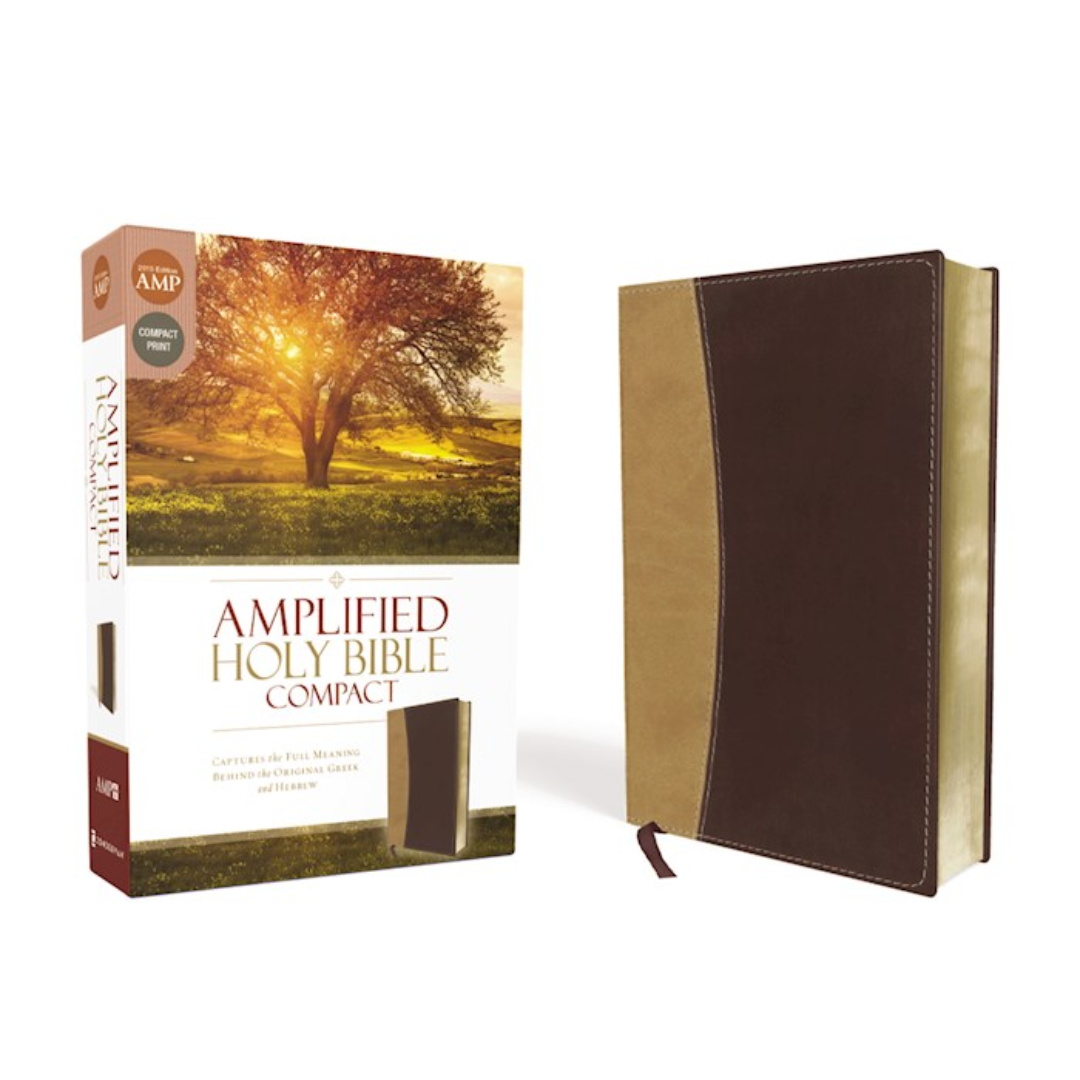 Compact Amplified Bibles (Burgundy)