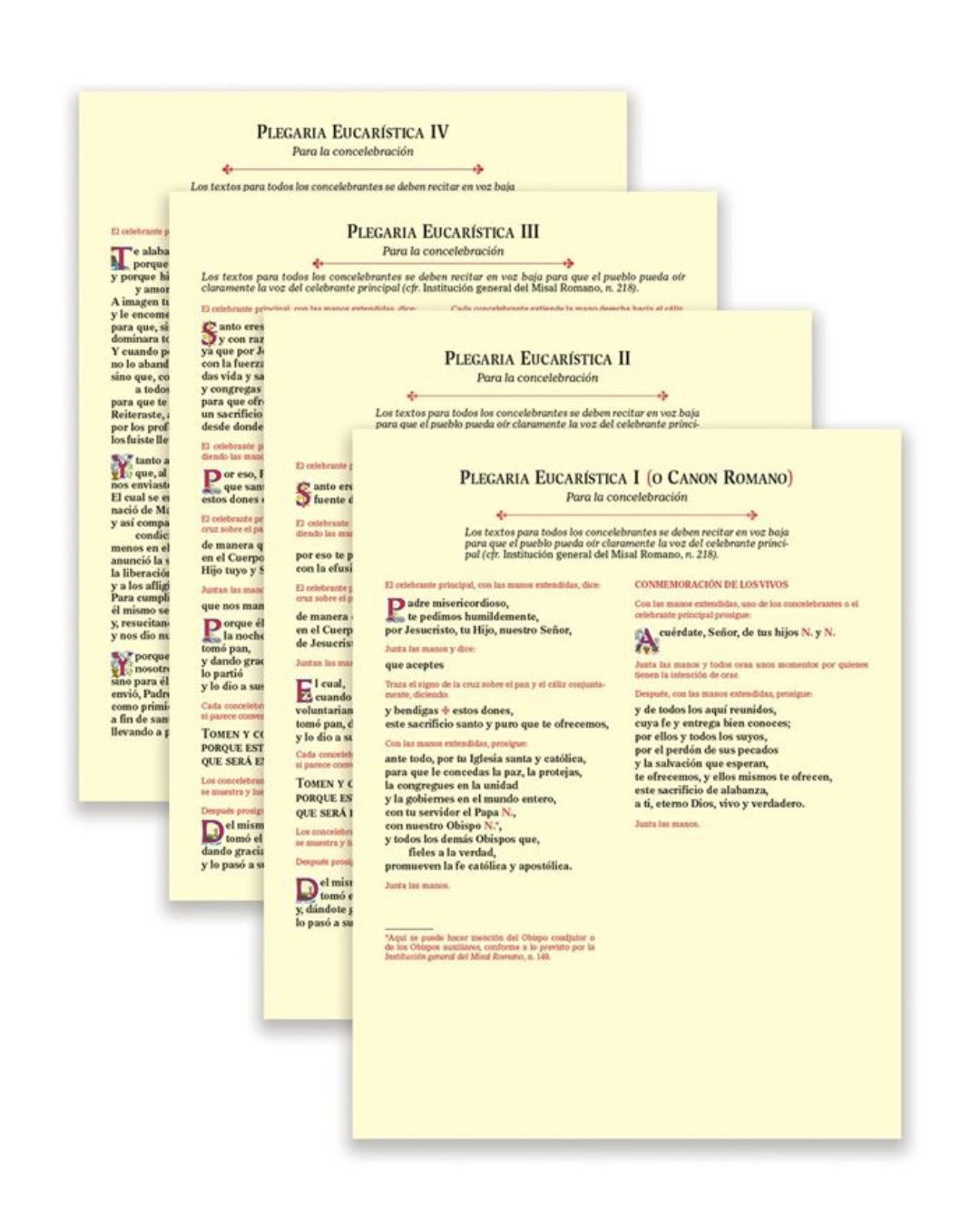 Concelebration Cards for Eucharistic Prayers I, II, III, IV Laminated Spanish