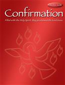 Confirmation Catechist Guide from RCL Benziger 347-9780782911404