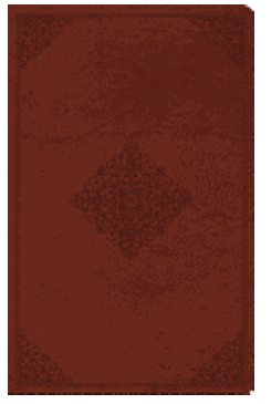 Crossway Large Print Value Thinline Bible-ESV-Ornament Design 9781433550287