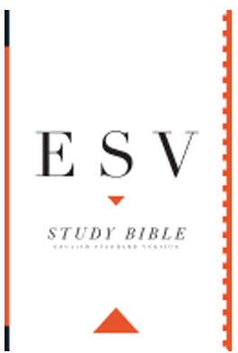 Crossway ESV Study Bible Softcover 9781433530838