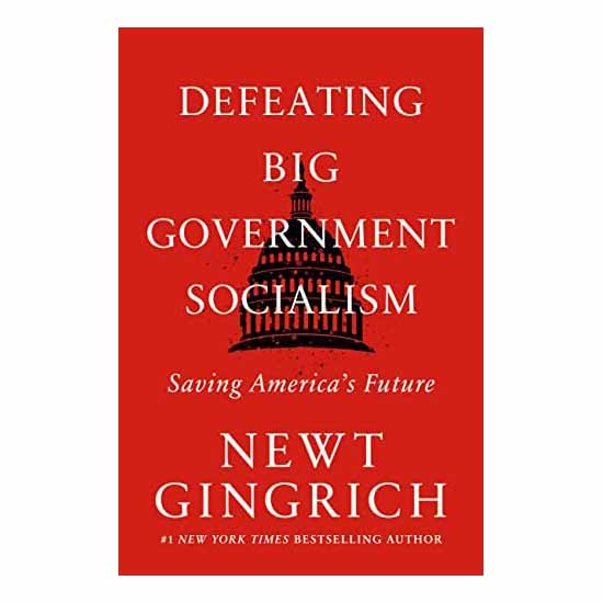 "Defeating Big Government: Saving America's Future" by Newt Gingrich