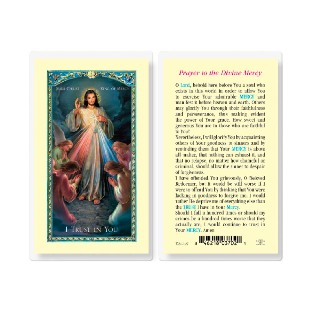 Divine Mercy Laminated Prayer Card 12-E24-197 Divine Mercy Holy Card