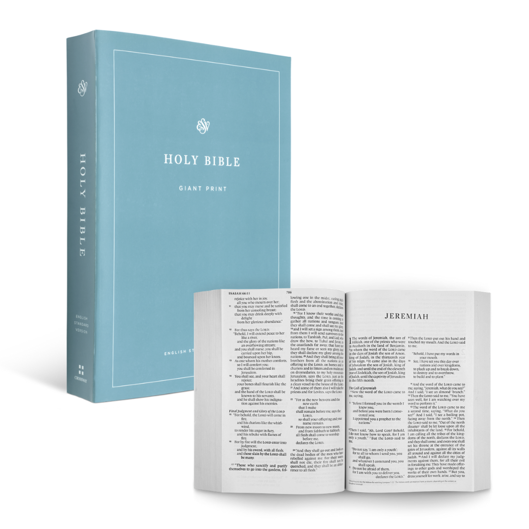 ESV Economy Bible (Giant Print) - 9781433558979