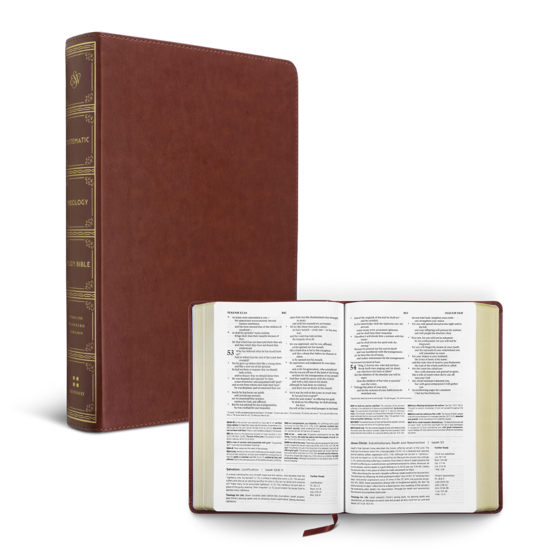 ESV Systematic Theology Study Bible (Chestnut)