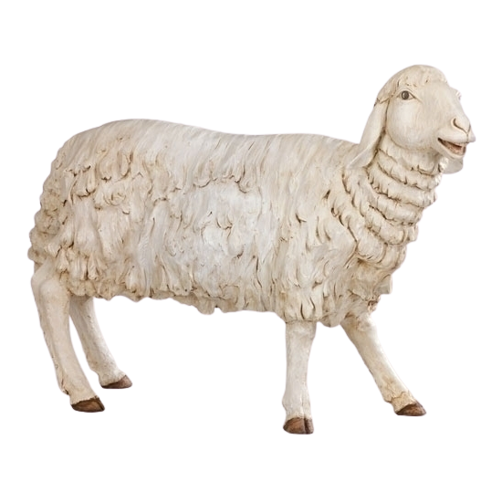 Fontanini 70" Masterpiece Nativity Collection Standing Sheep #57707