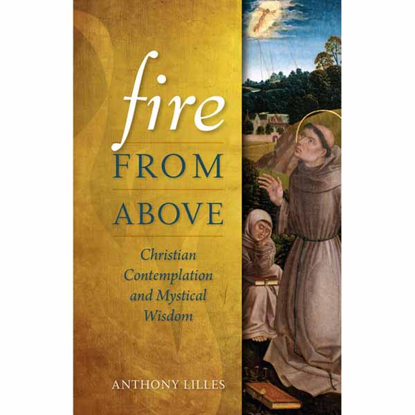 Fire From Above by Dr. Anthony L. Lillies - 9781622823352
