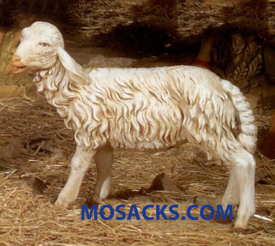 Fontanini Nativity 50" Masterpiece Sheep Standing Head Straight #52336