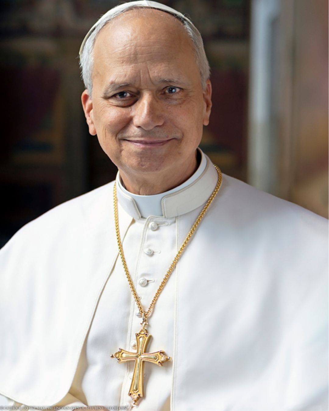 Formal Pope Leo XIV Sleeved Portrait