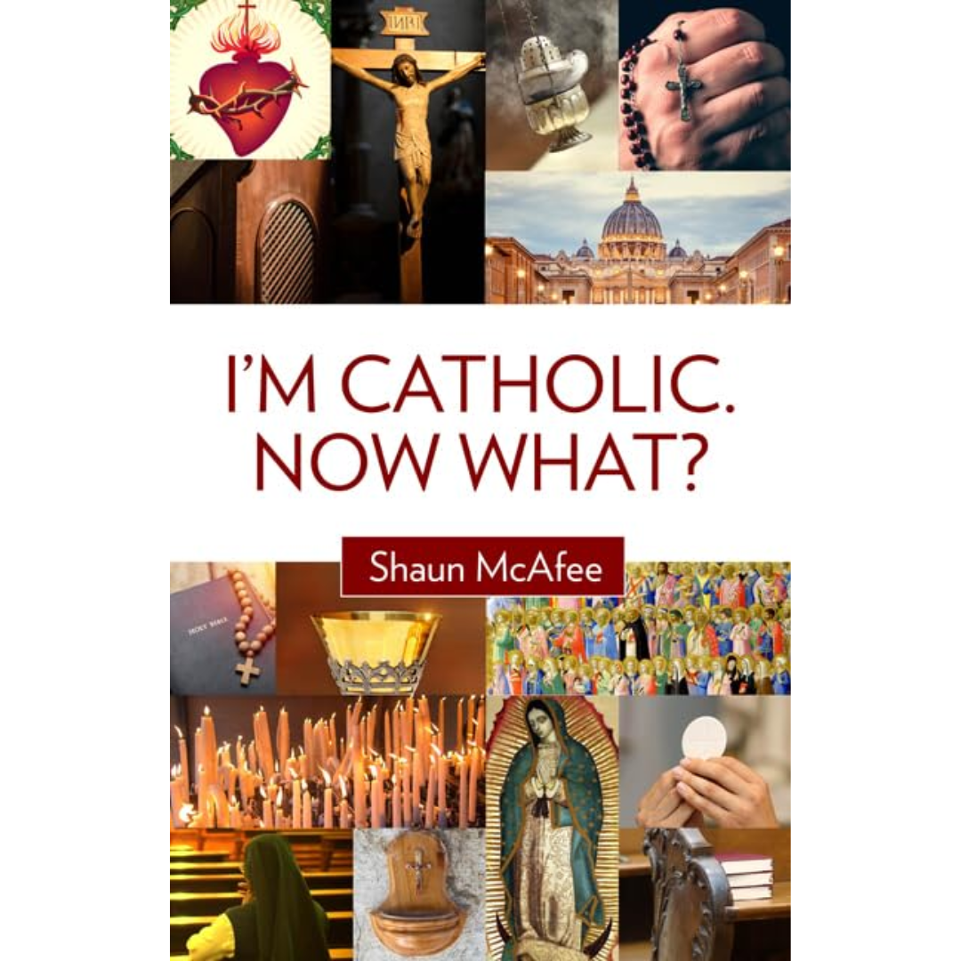 I'm Catholic. Now What? by Shaun McAfee - 9781681925653