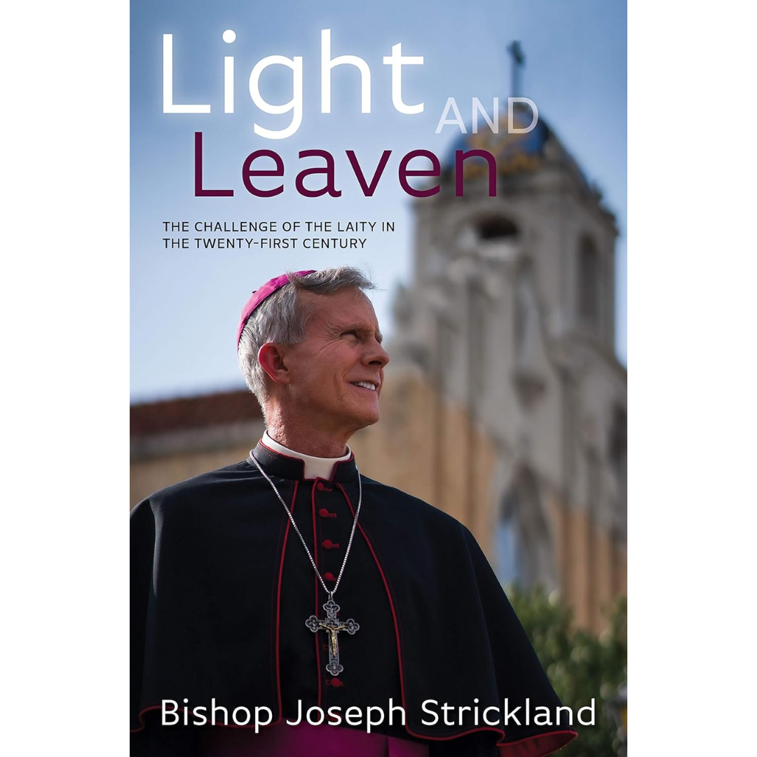 Light-and-Leaven-The-Challenge-of-the-Laity-in-the-Twenty-First-Century