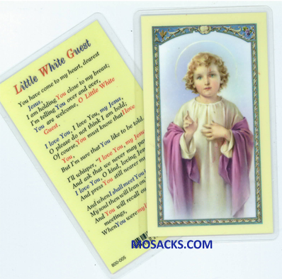 Little White Guest Laminated Holy Card 12E24-167