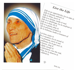 Mother Teresa Laminated Holy Card 2-MT5L