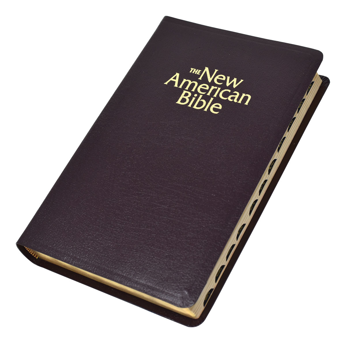 NABRE Deluxe Gift Bible Indexed (Black Bonded Leather)