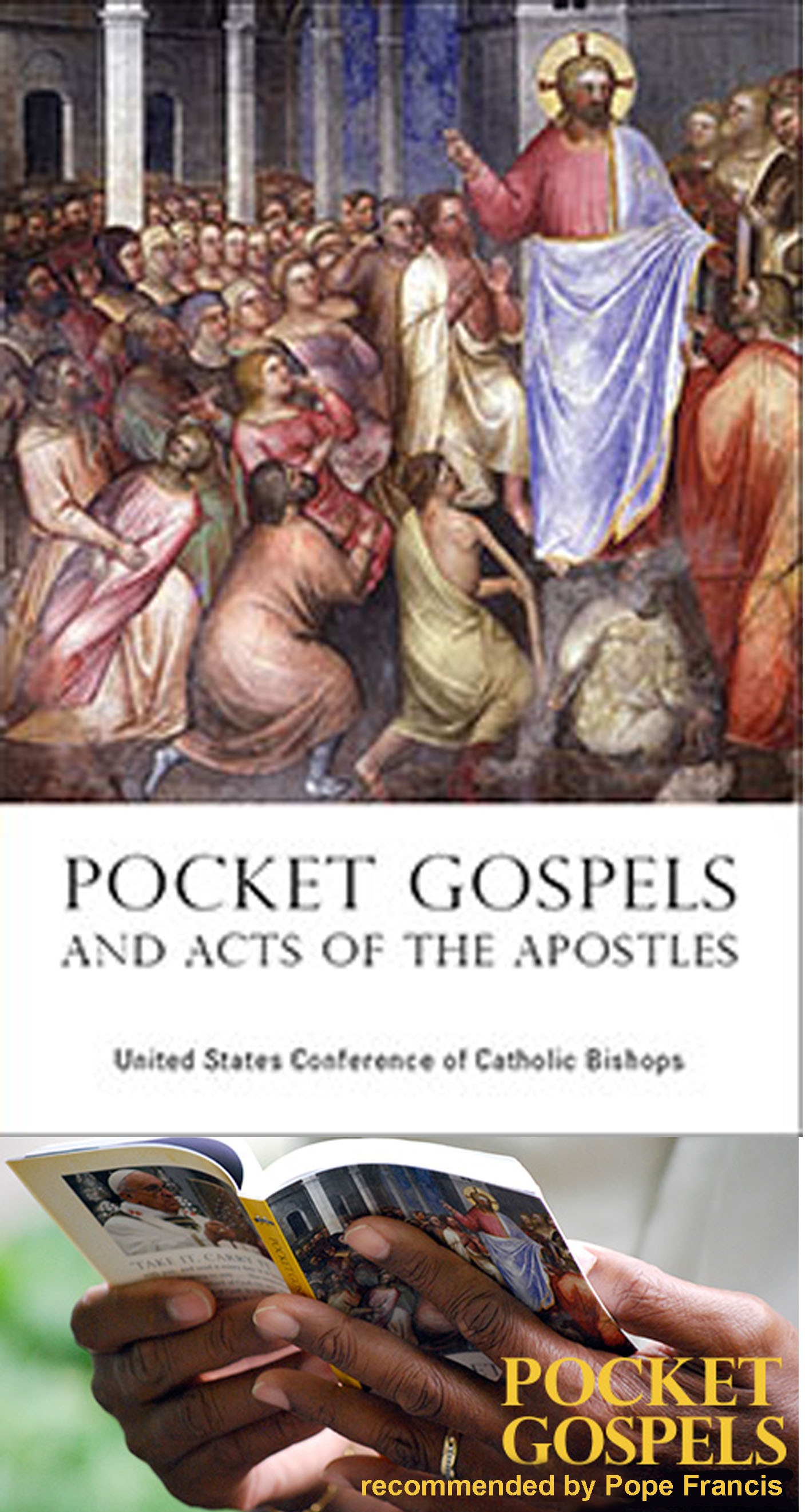 Pocket size Gospels called Pocket Gospels and Acts of the Apostles 9781601374813