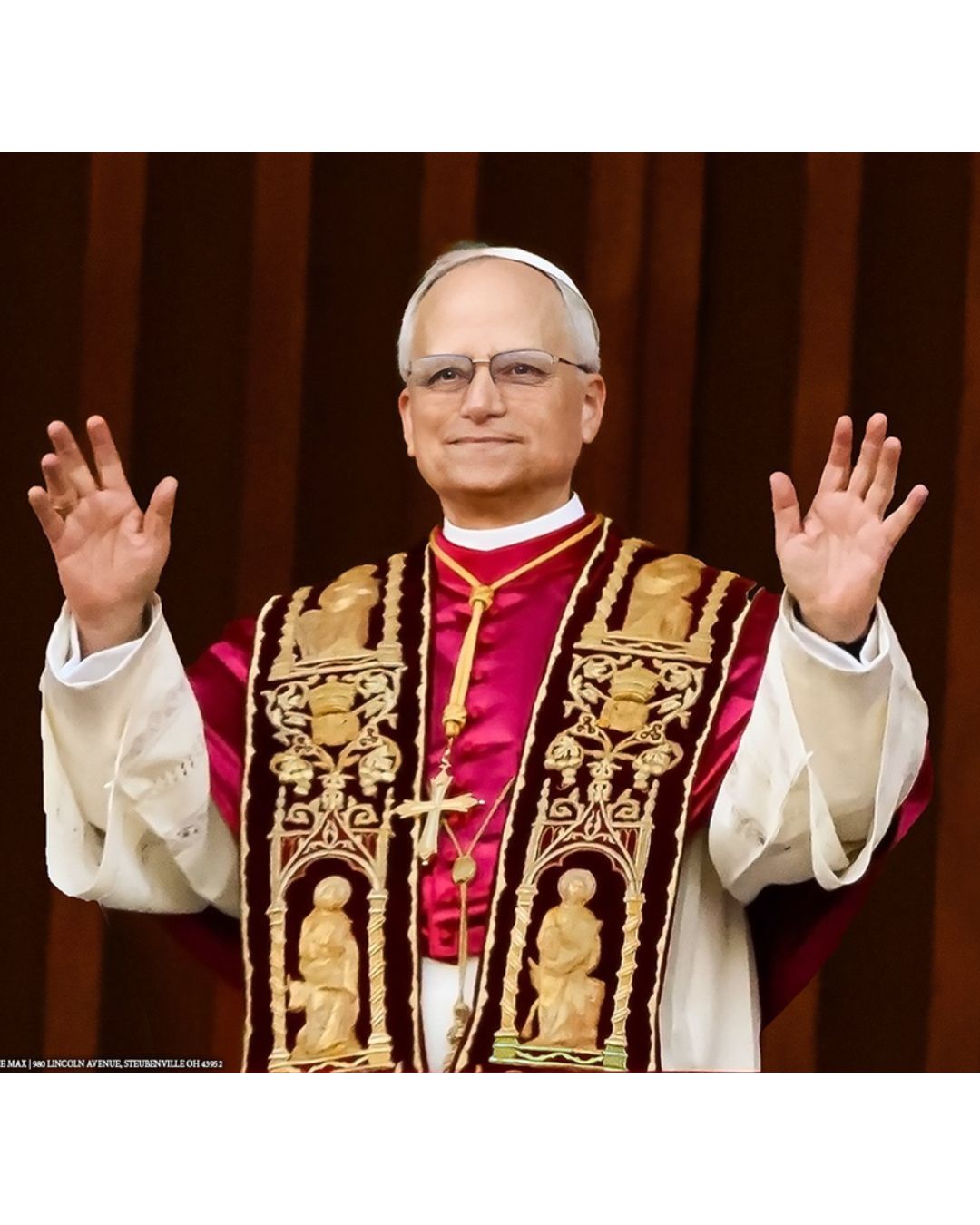 Pope Leo XIV Extending Arms In Blessing Sleeved Print
