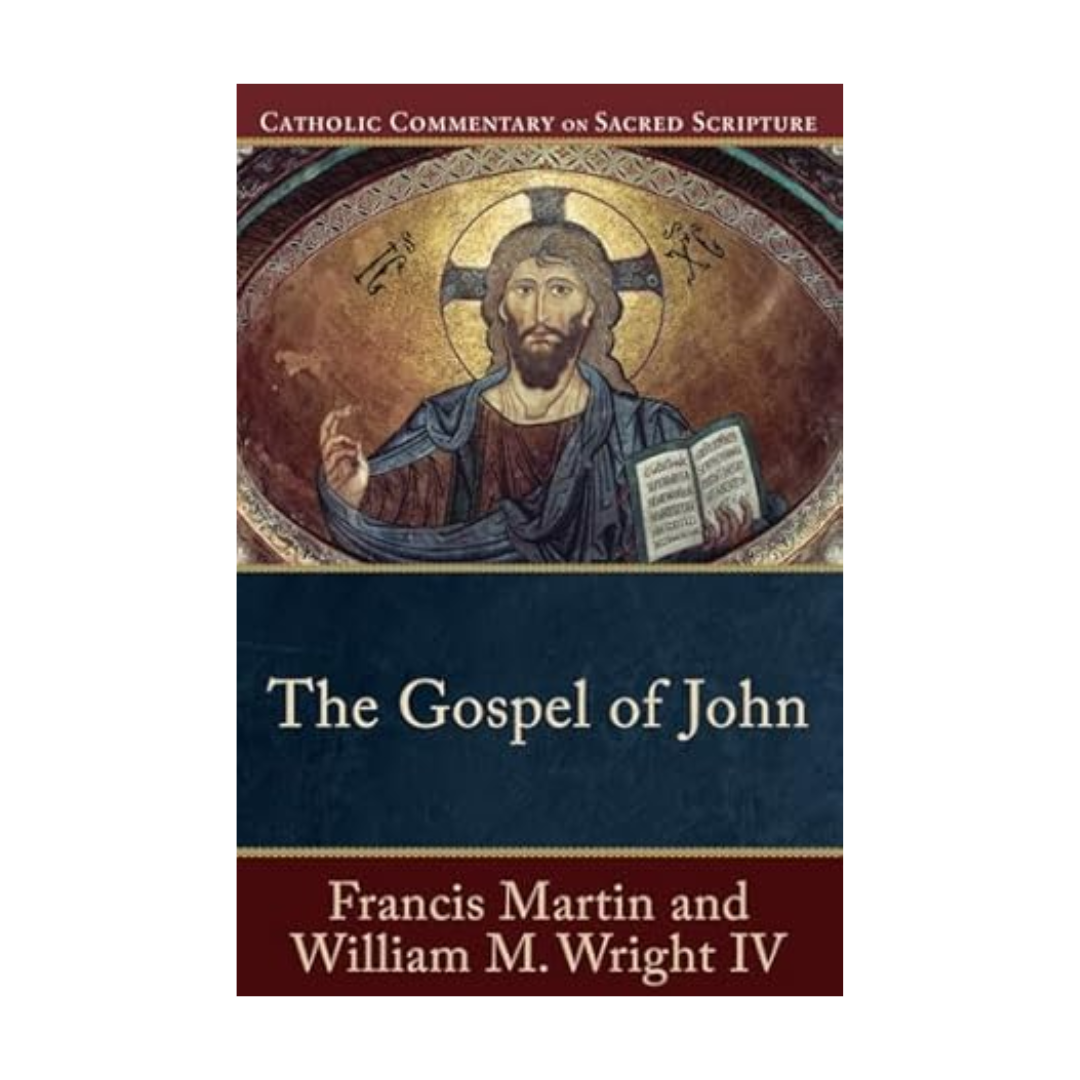 "The Gospel of John" by Francis Martin