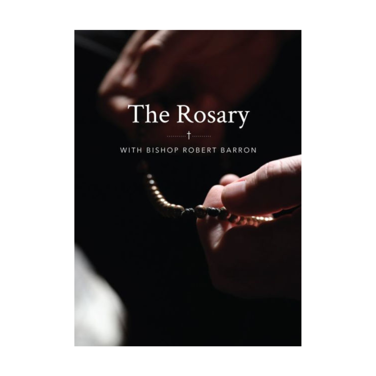  The Rosary with Bishop Barron