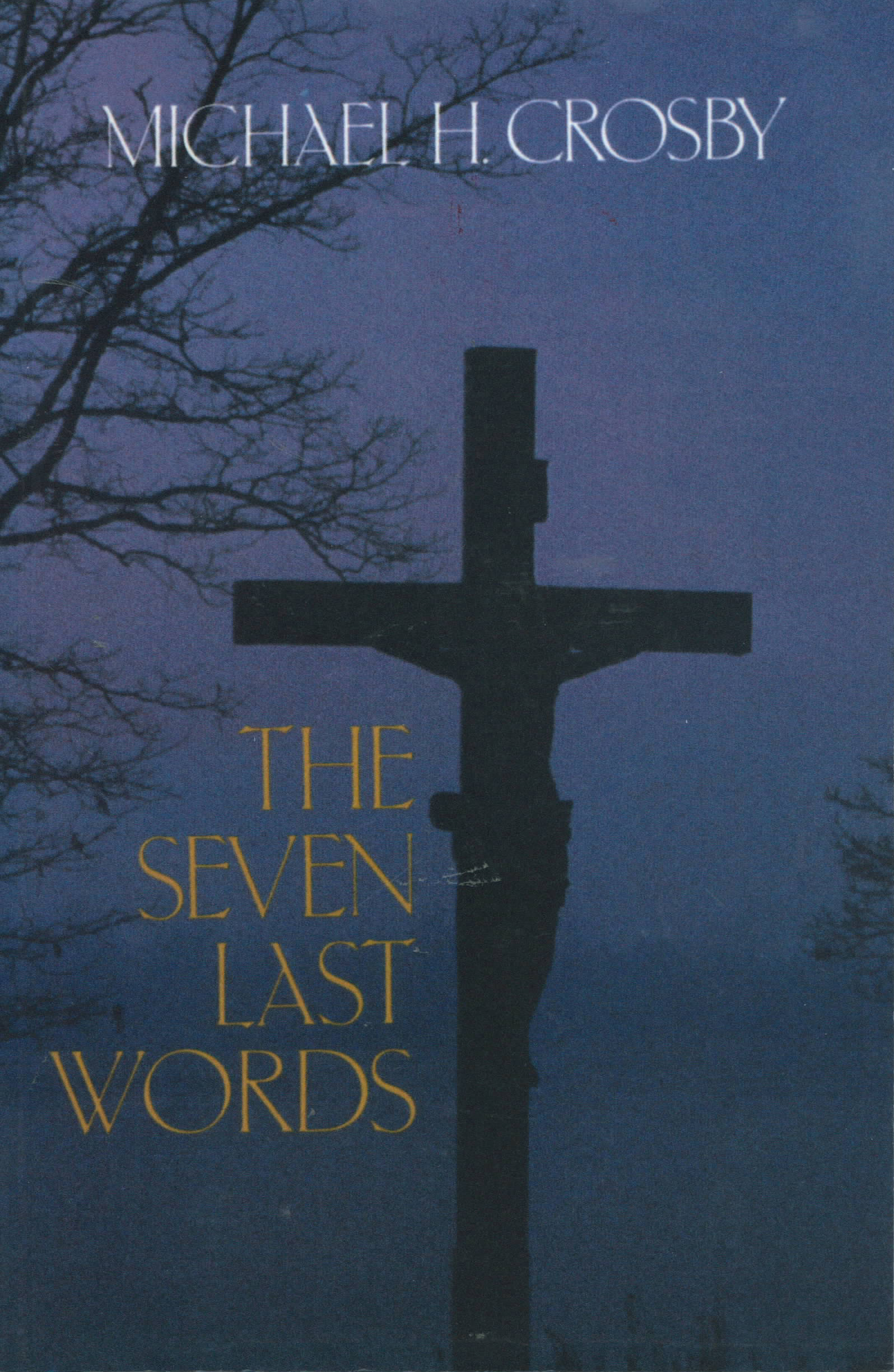 The Seven Last Words by Michael Crosby 9780883449387 a Lenten Reflection