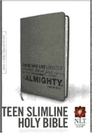 Tyndale Teen Slimline Bible-NLT 2ND ed. Charcoal 9781414363295