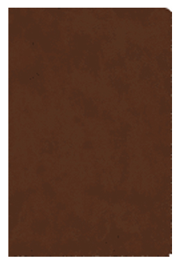  Value Compact Bible ESV Brown 9781433547591