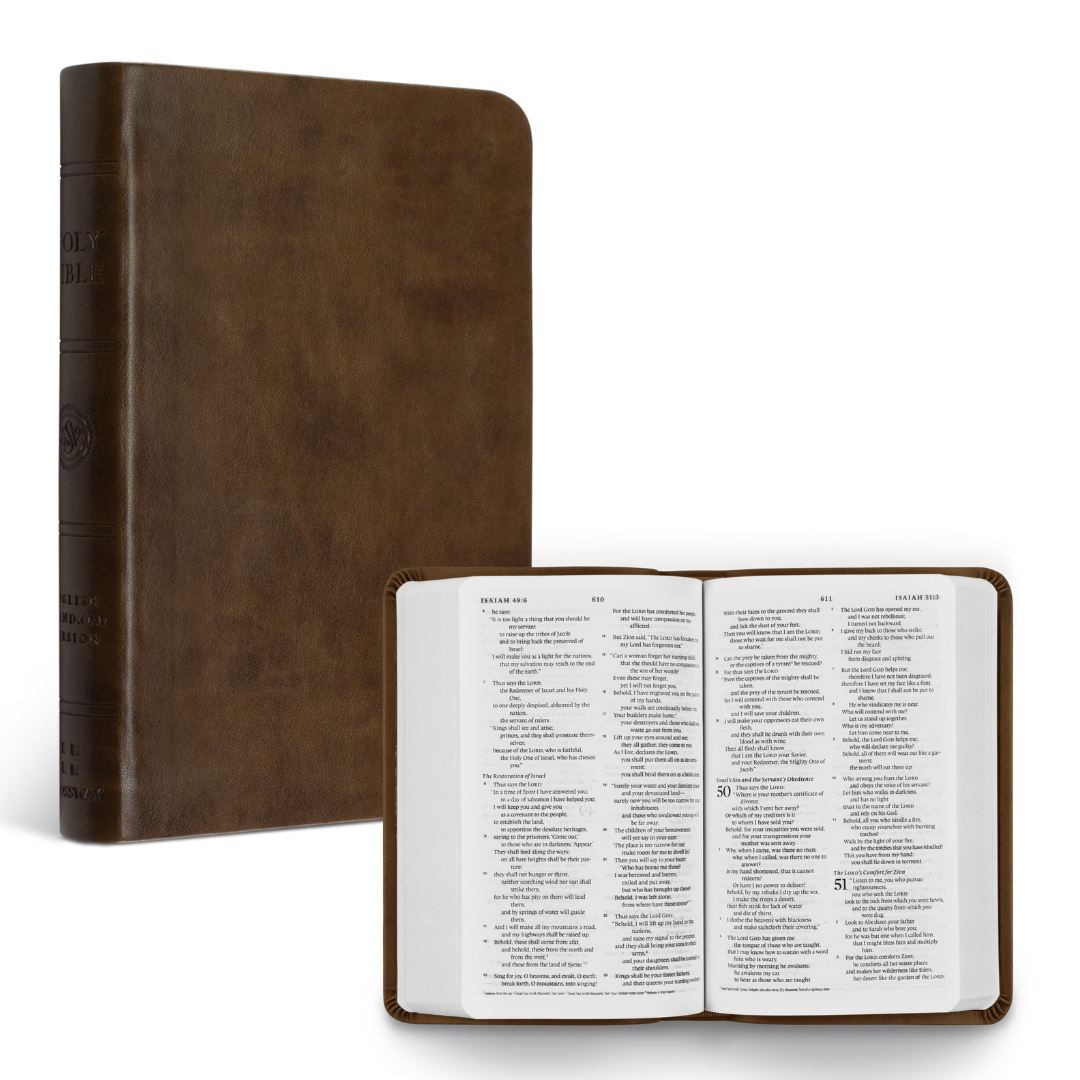 ESV Compact Bible (Brown)