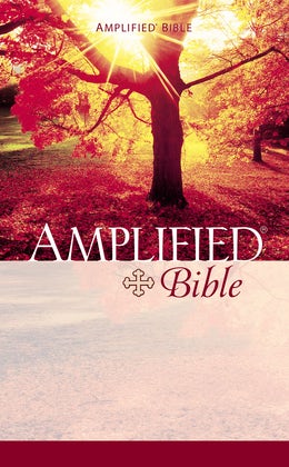 Amplified Bible from Zondervan