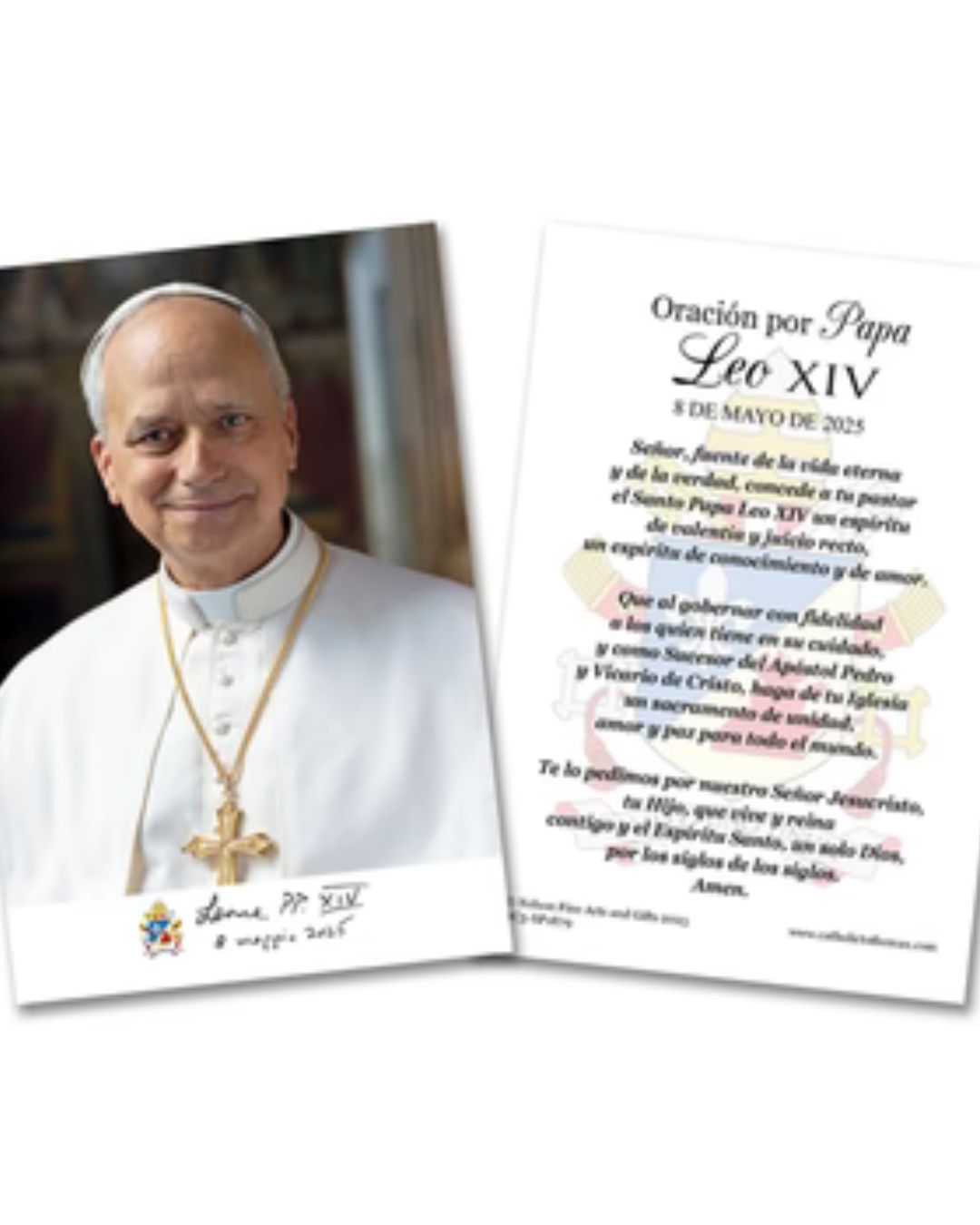 3x5 Pope Leo XIV Formal Portriat PAPER Praying Card In Spanish(50)