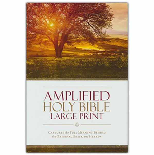 Zondervan Amplified Bible-Am-Large Print: Captures the Full Meaning Behind the Original Greek and Hebrew 9780310444039